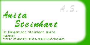 anita steinhart business card